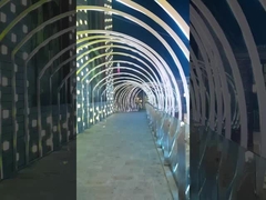 IP68 अंडरवाटर नीयन फ्लेक्स 24V टीपीयू सामग्री स्विमिंग पूल उपयोग के लिए लचीला एलईडी पट्टी